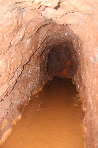 img00037.jpg