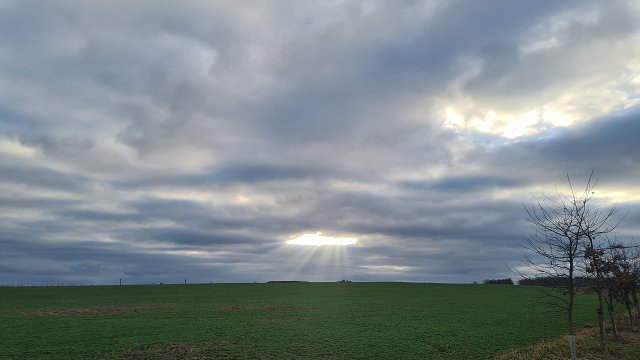 img00016.jpg