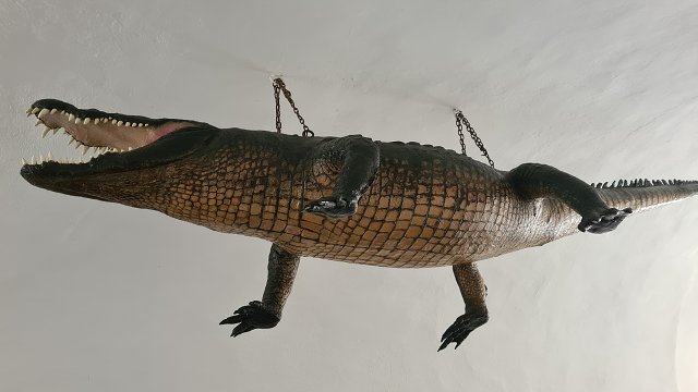 img00044.jpg