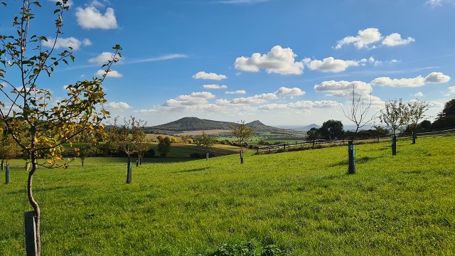 img00008.jpg
