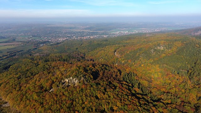 img00037.jpg