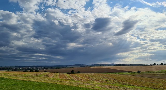 img00108.jpg