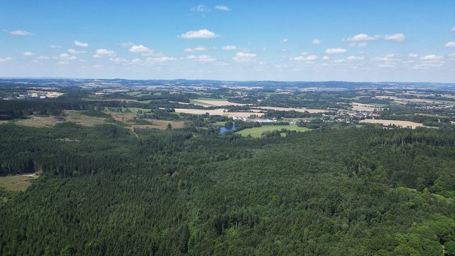 img00117.jpg