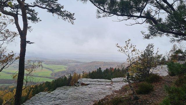 img00015.jpg