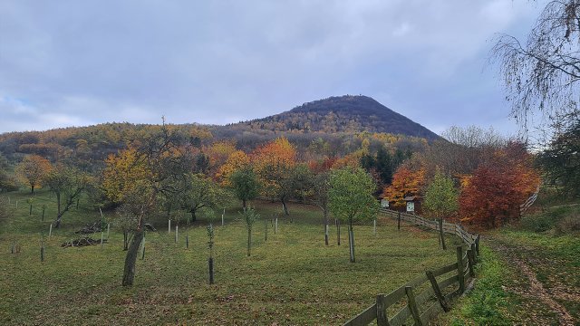 img00020.jpg