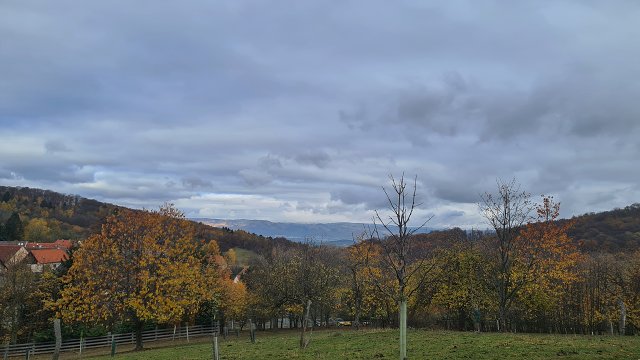 img00021.jpg