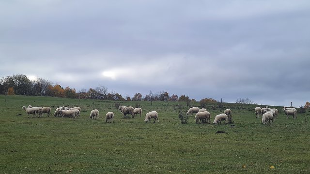 img00022.jpg