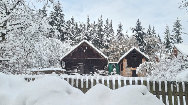 img00037.jpg