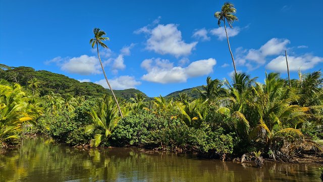 Polynesia-10.jpg