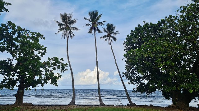 Polynesia-127.jpg