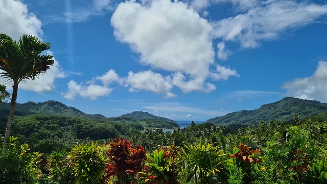 Polynesia-13.jpg