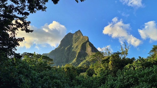 Polynesia-18.jpg