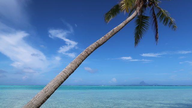 Polynesia-53.jpg