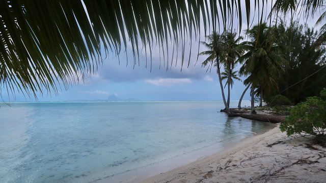 Polynesia-55.jpg