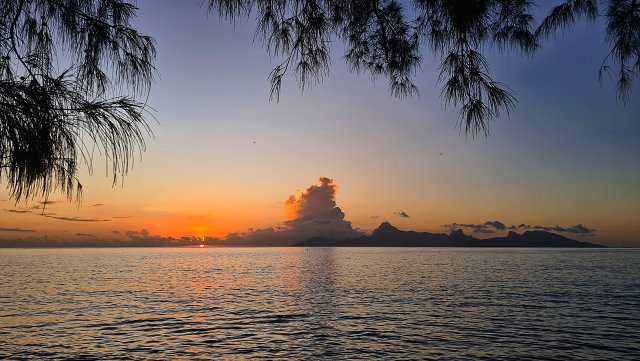Polynesia-58.jpg