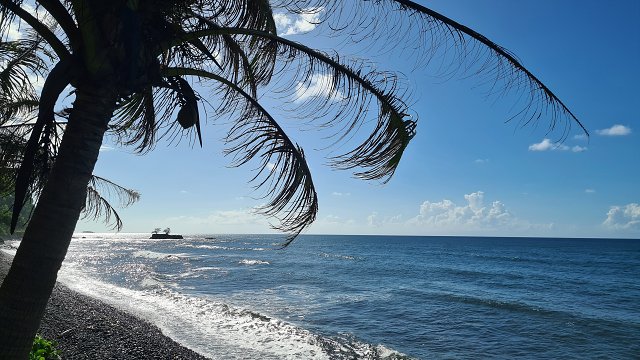 Polynesia-59.jpg