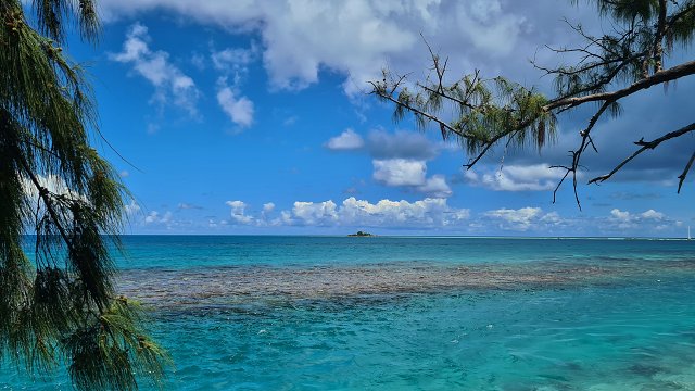 Polynesia-68.jpg