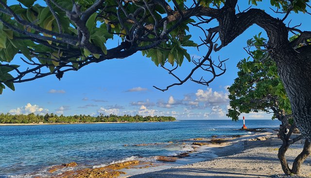 Polynesia-70.jpg