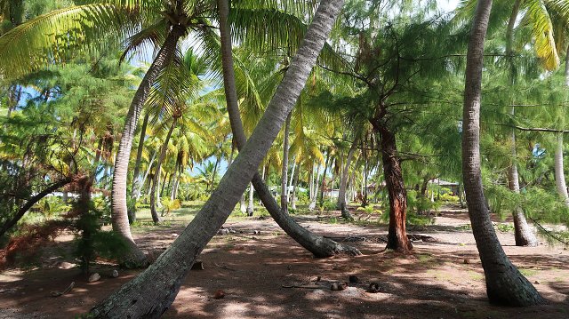 Polynesia-98.jpg