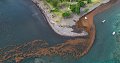 thn_Polynesia-125.jpg