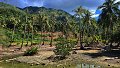 thn_Polynesia-138.jpg
