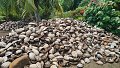 thn_Polynesia-35.jpg