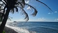 thn_Polynesia-59.jpg