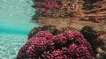 thn_Polynesia-78.jpg