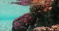 thn_Polynesia-80.jpg