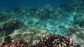 thn_Polynesia-86.jpg