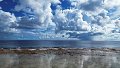 thn_Polynesia-91.jpg