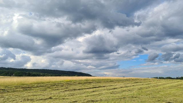 img00006.jpg