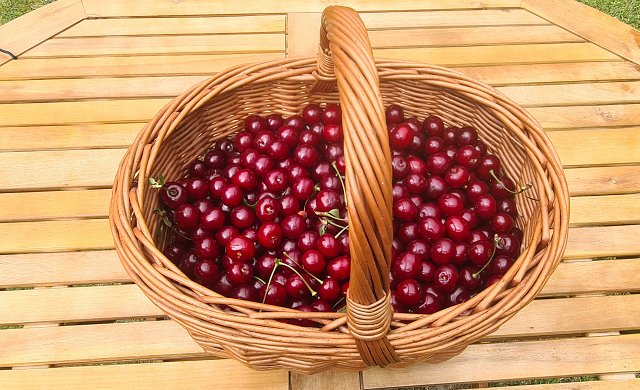 img00007.jpg