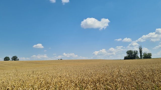 img00022.jpg
