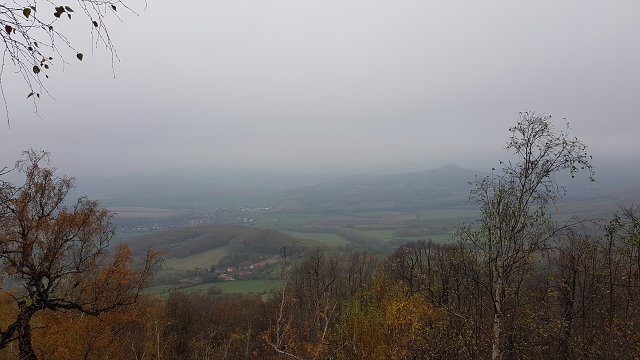 img00010.jpg