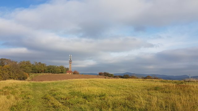 img00016.jpg