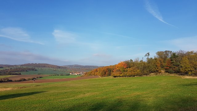 img00019.jpg