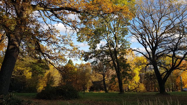 img00025.jpg