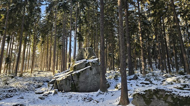 img00037.jpg