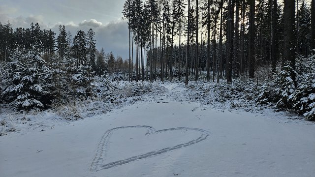 img00042.jpg