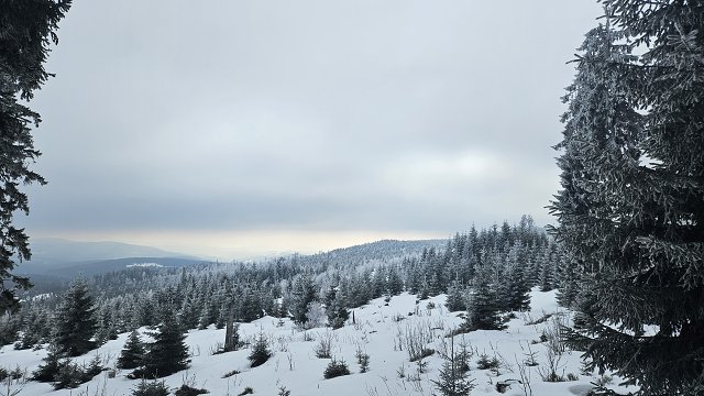 img00006.jpg