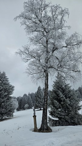img00008.jpg