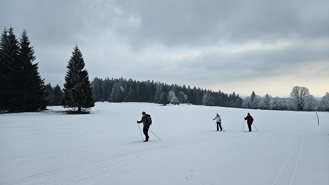 img00009.jpg