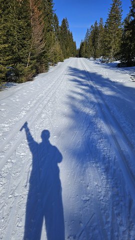 img00015.jpg