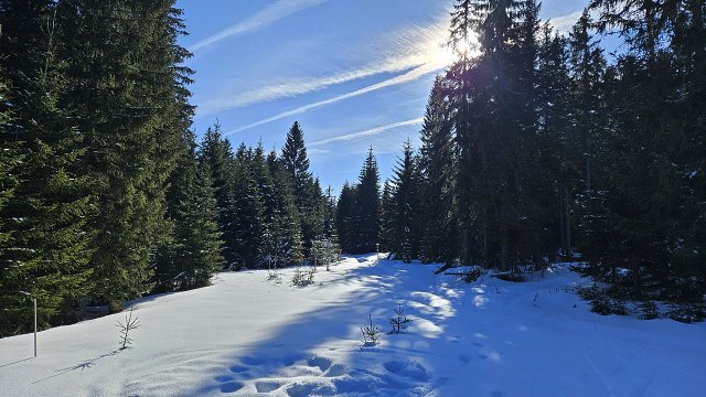 img00016.jpg