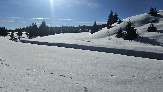 img00019.jpg