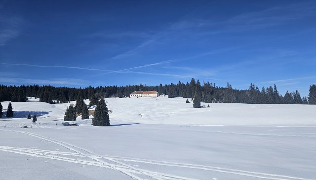img00020.jpg