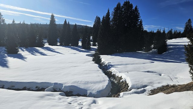 img00021.jpg