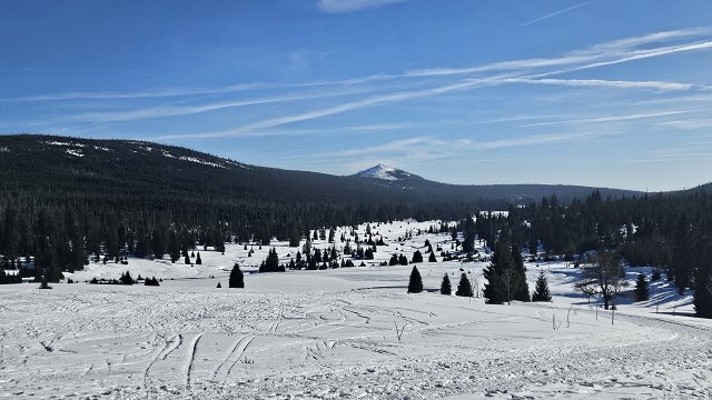 img00022.jpg