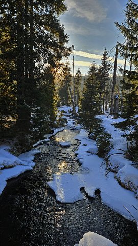 img00029.jpg
